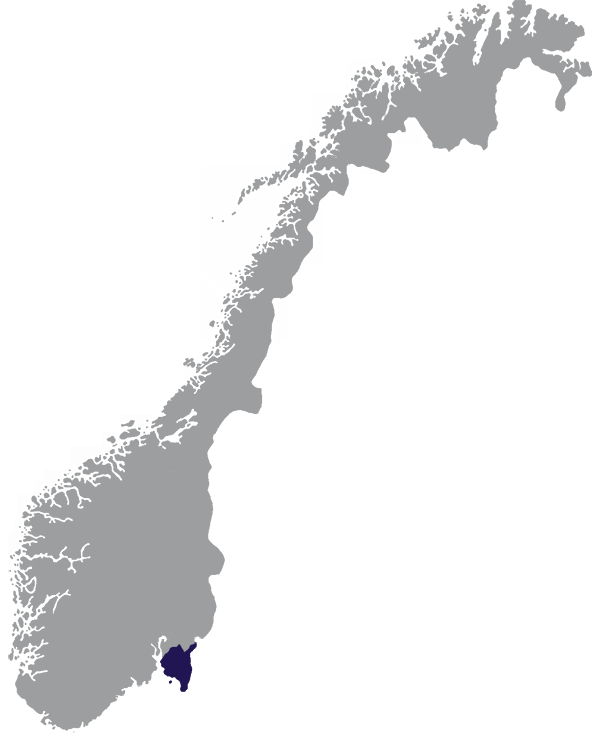Landkaart Noorwegen grijs met provincie Østfold donkerblauw op transparante achtergrond - 600 * 733 pixels